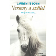 Verseny a széllel - Az egydollásros ló 2.