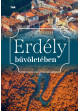 Erdély bűvöletében