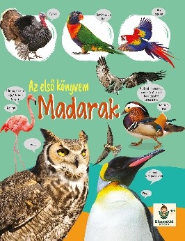 Első könyvem – Madarak